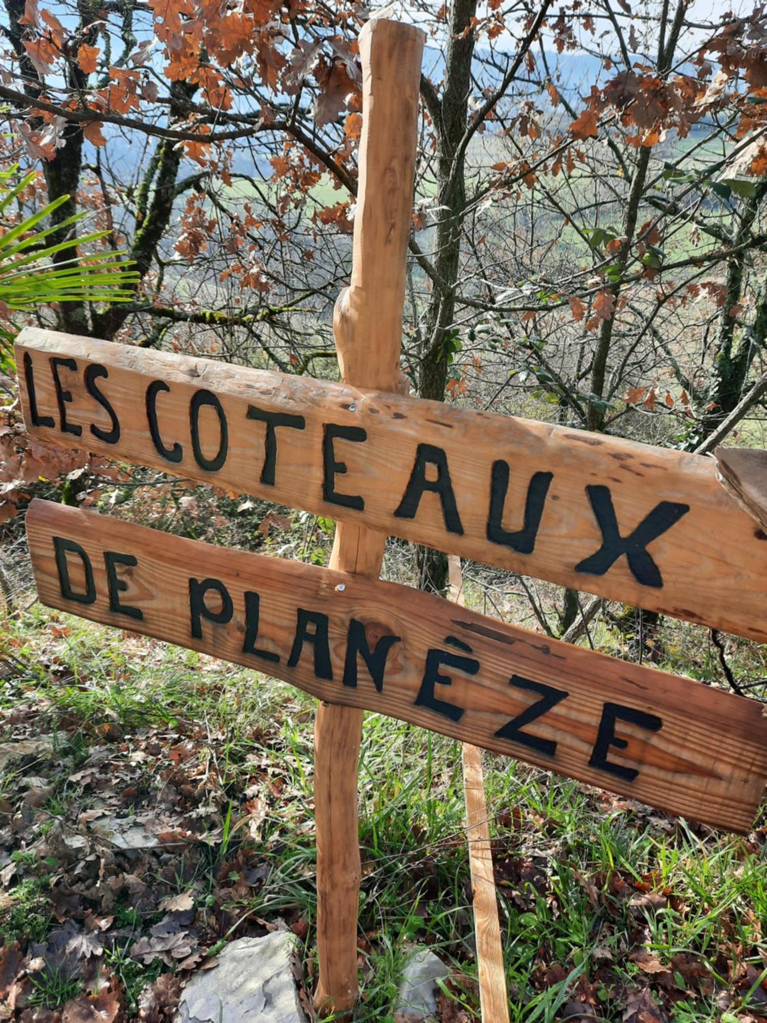 Les Coteaux De Planeze, Maison Et Jardin Dans Le Lot! Chambres Chez L'Habitant! Belmont-Bretenoux Exteriör bild